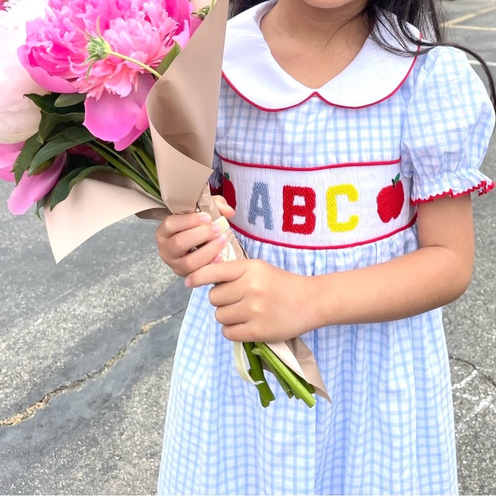 Blue Gingham Dress with ABC Embroidery, Girls Size 6